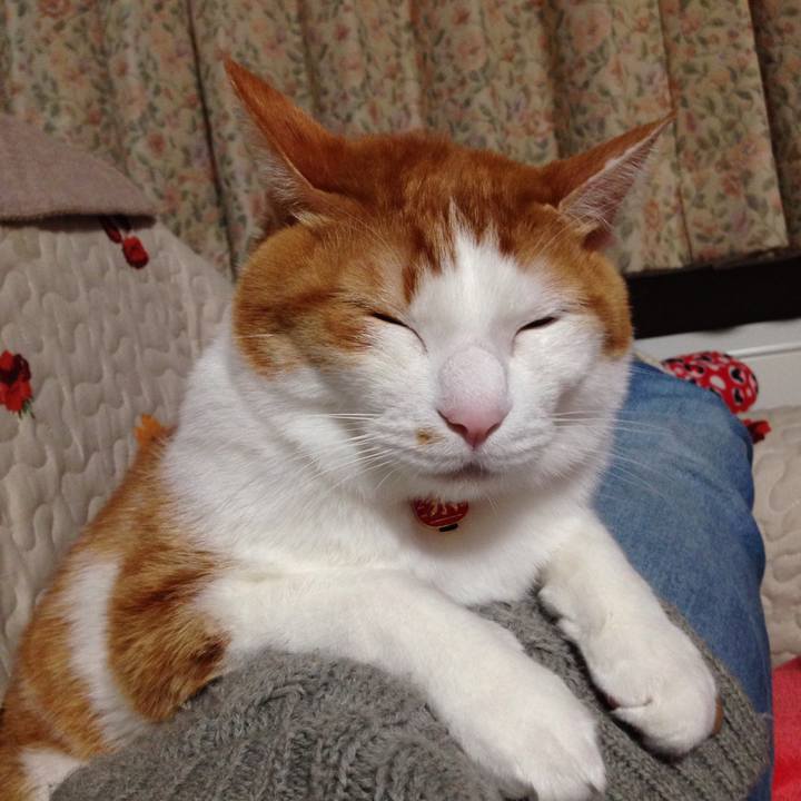 878eb558 7e79 4885 8b0c 6577cf98a302 1546157793258