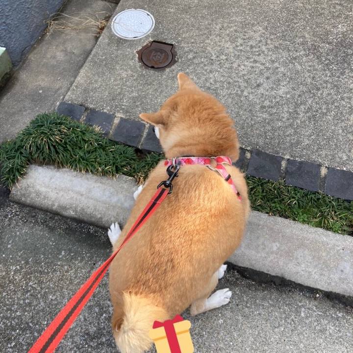 878ebfaf a6ce 44d0 9725 a1d2a51b36aa 1612345095502