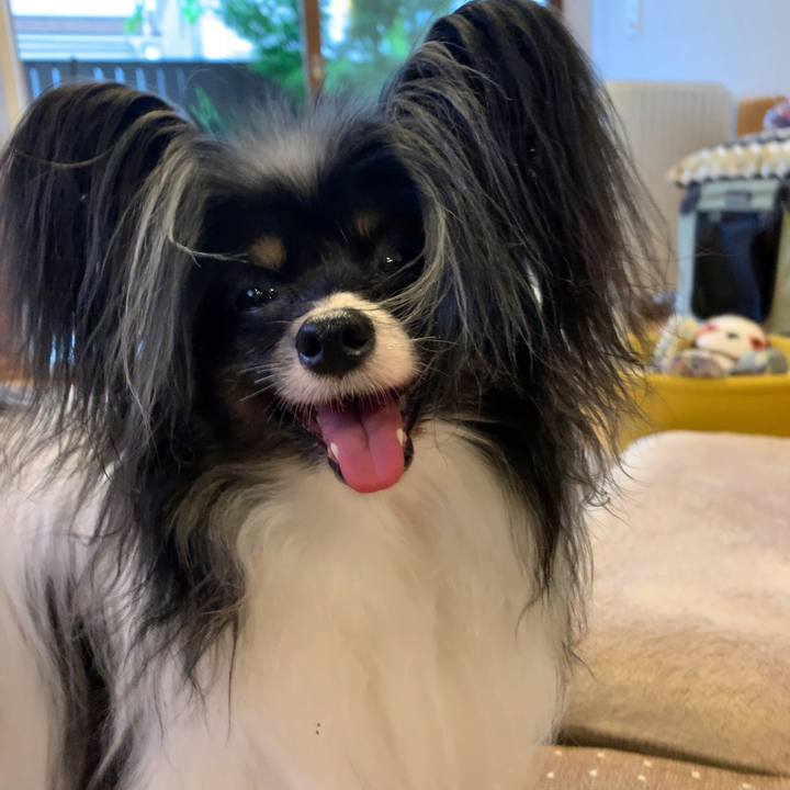 878efea7 75c2 421a 86c0 de10399a6bd9 1624366795199