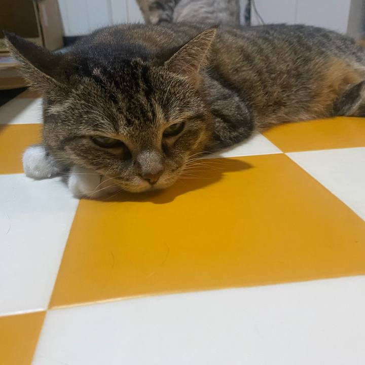 878f19fb 1ebc 4329 8139 2db91400deed 1724235015846