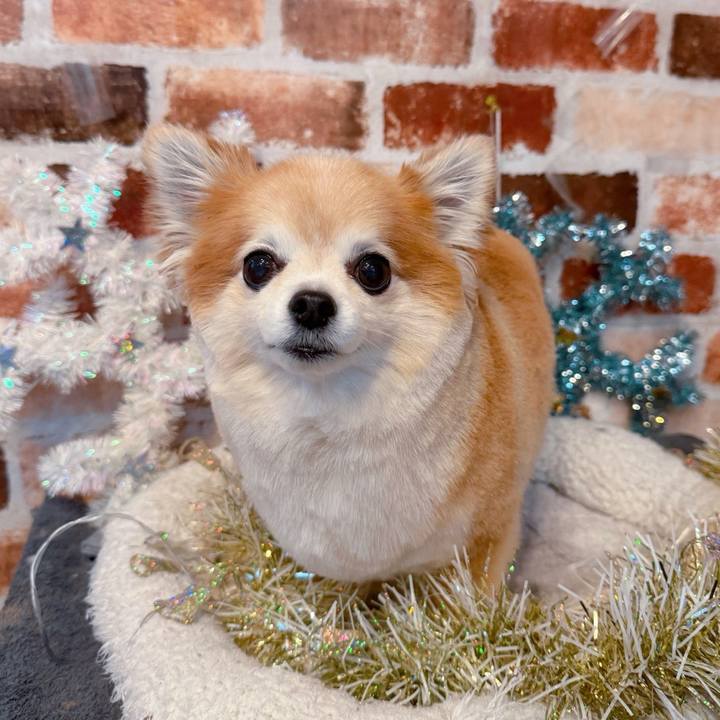 878f25b9 c485 435a bac8 eb29fa0787ed 1766125231104