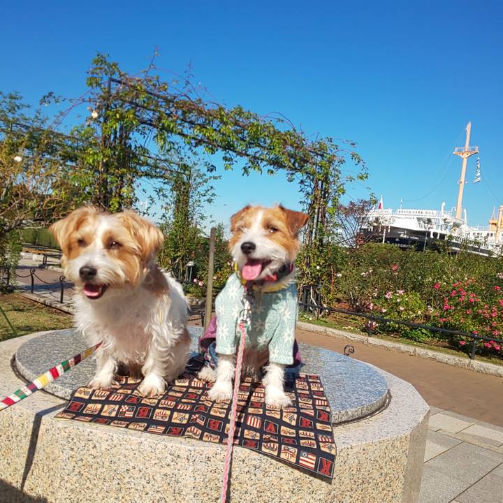 878f2e6e e8c8 446f a4c2 6b67fb2556cb 1636787224481