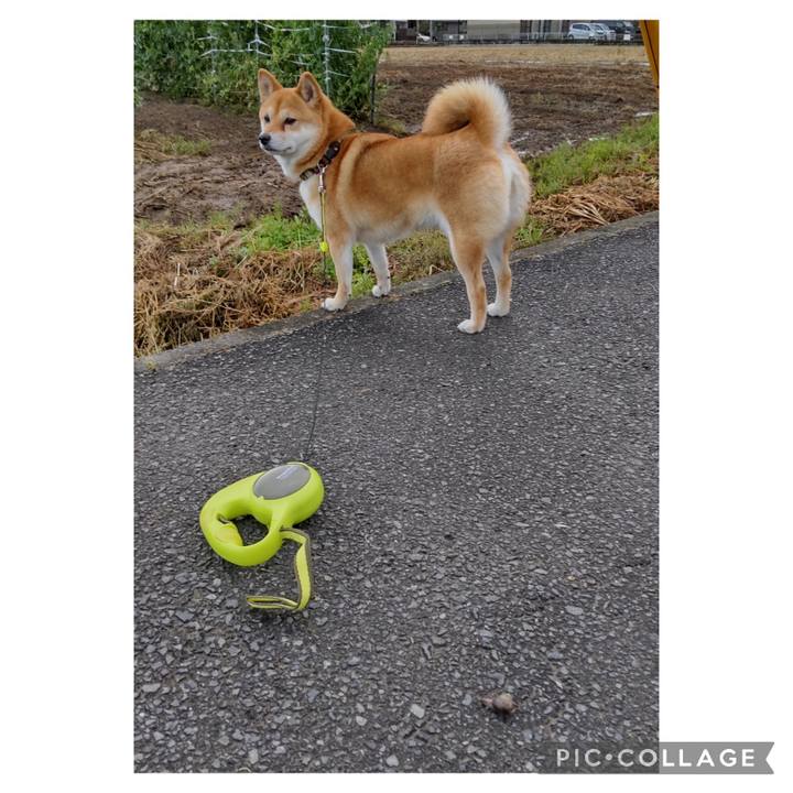 878f5ed7 dfea 4007 9d8e 1d975d7d0b2c 1683498328278