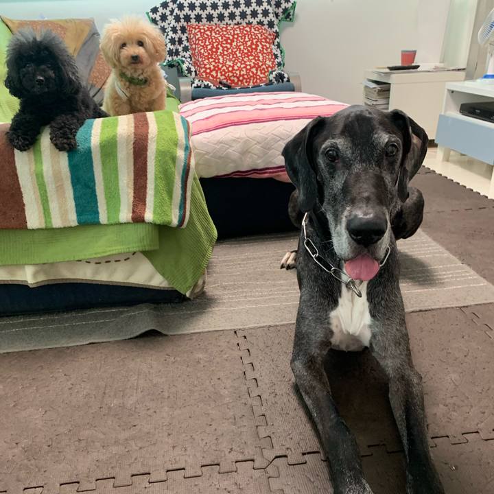 878fb9ab 9acb 4618 b277 f08202919f3a 1599604525414