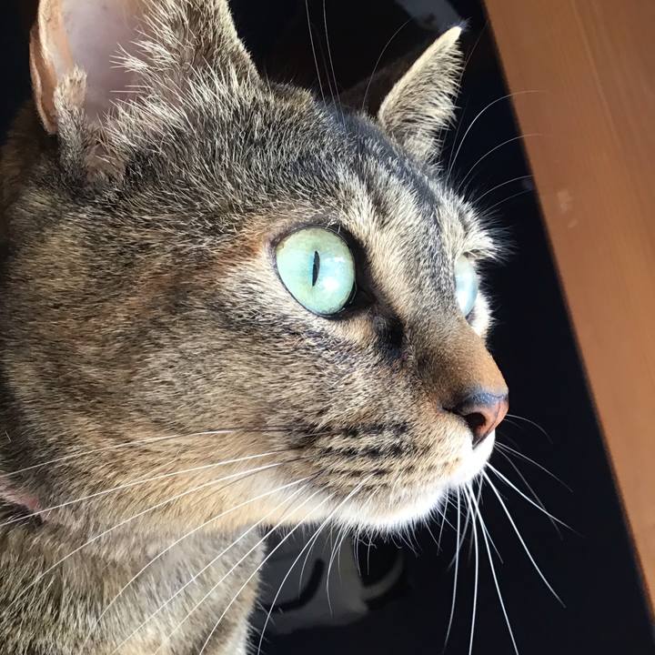 87903343 3c14 427c 813e 4a2f92fc0c99 1681978415349