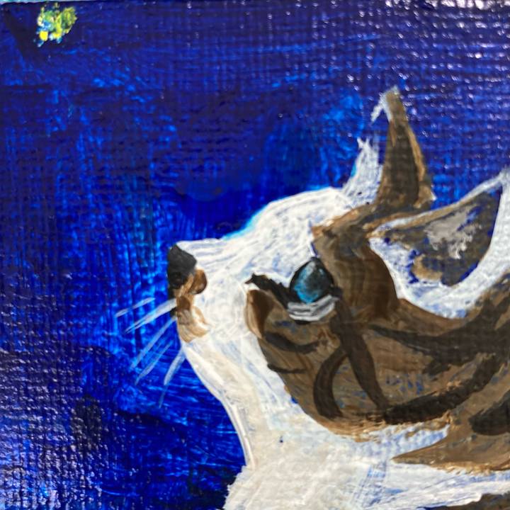 8791071d 5a3f 4bfe a2fe 9ae231fa3a6d 1670894309747