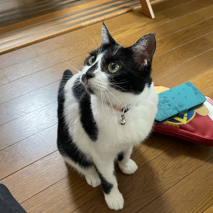 87913739 836f 41f2 bdc0 d6d4f4ec6451 1752897426993