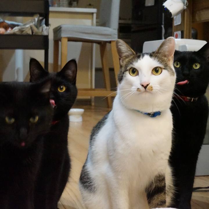 87914833 8ae9 4a62 b45e 574654b7f1d4 1531148437267