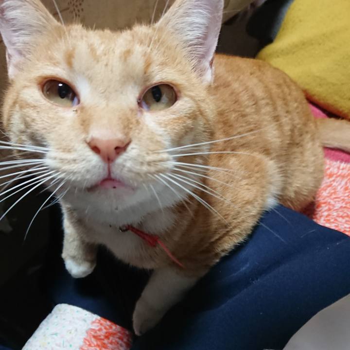 87914e47 3477 483f 8ec7 f2a355b6cd2a 1572514773060