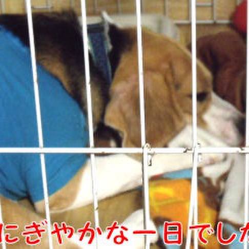 87918286 2f4b 46fb 8340 3c9b39f7a747 1728177468502