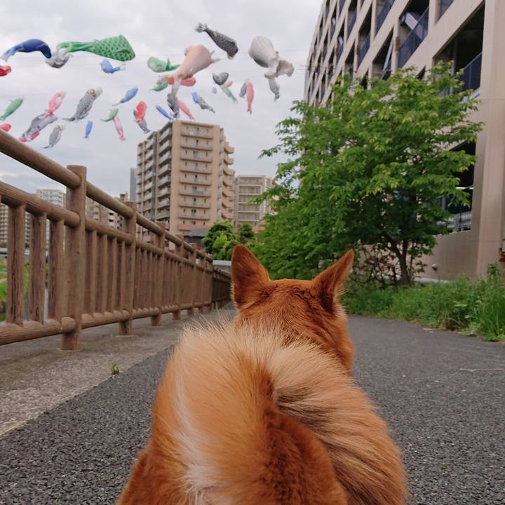 8791b242 8eae 44a0 ac7d 8fb956768a7b 1556532014721