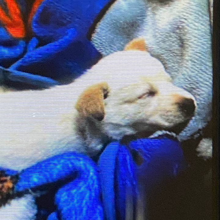 8791c1b9 2a88 4120 a1f8 f16e8cac0703 1631790905456