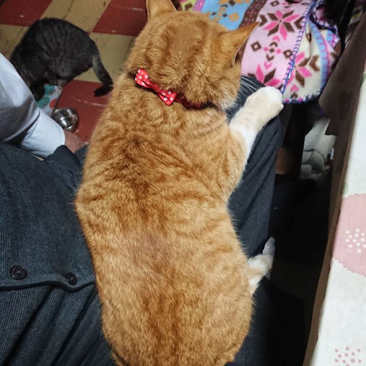 8791ff55 0ea7 4160 824c b093e5a5837d 1576833683753