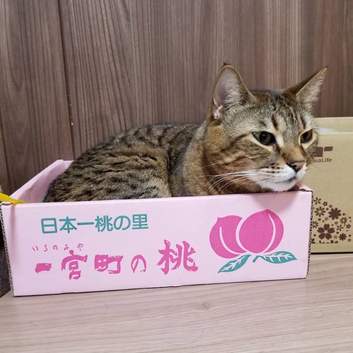 8792031d ce9a 4044 a653 32a5b35cf4f1 1615411437702