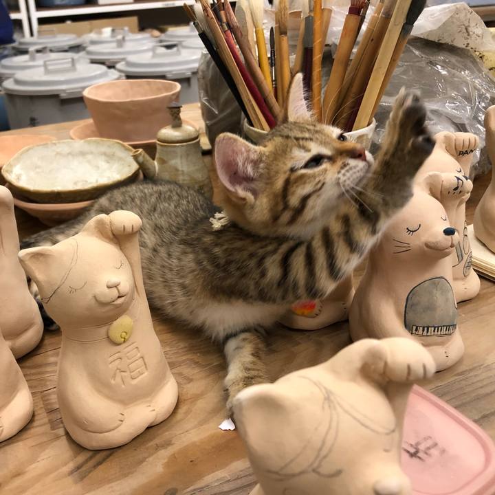 8792054e eac7 4280 af6f 847367314270 1577071290083