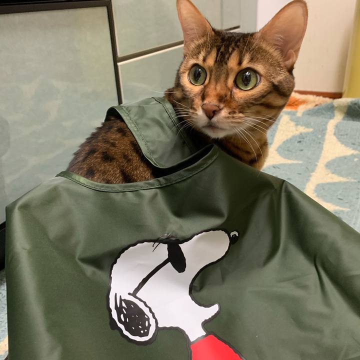 87923cd6 c269 4bdf 9d16 285964c77f03 1606785099936