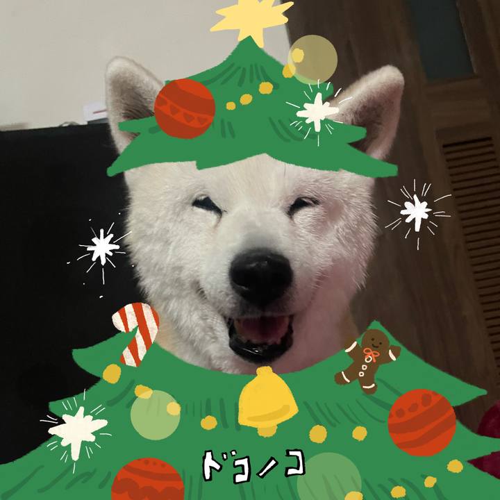 87925412 83d0 4e9e 819a a011bb592659 1761796093859