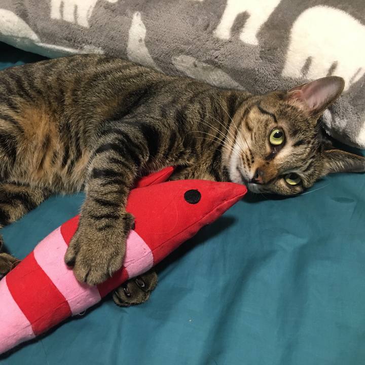 87925cb5 b3aa 4298 b51f ba4ce35a1432 1528265705213