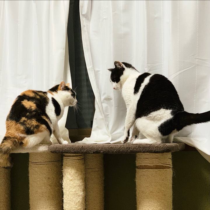 879266a4 a700 436f a9b9 3fb16ab480c2 1555641180122