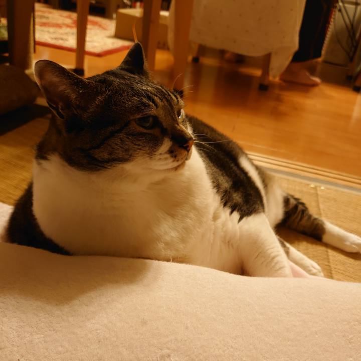 87929292 35f4 48e1 9d1c bd775c71379a 1592482033410