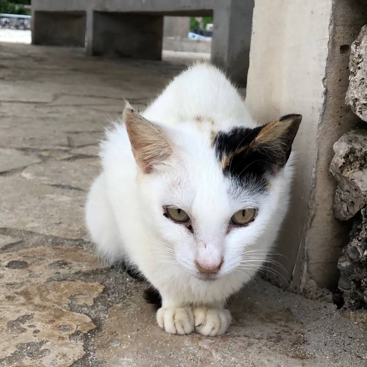 8792b1c8 ab82 43ab bebd dd862e4dbf6f 1543915847091