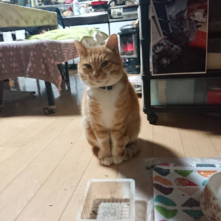 8792dccb 9f92 4816 bc9a 068e98302fd7 1607975139507