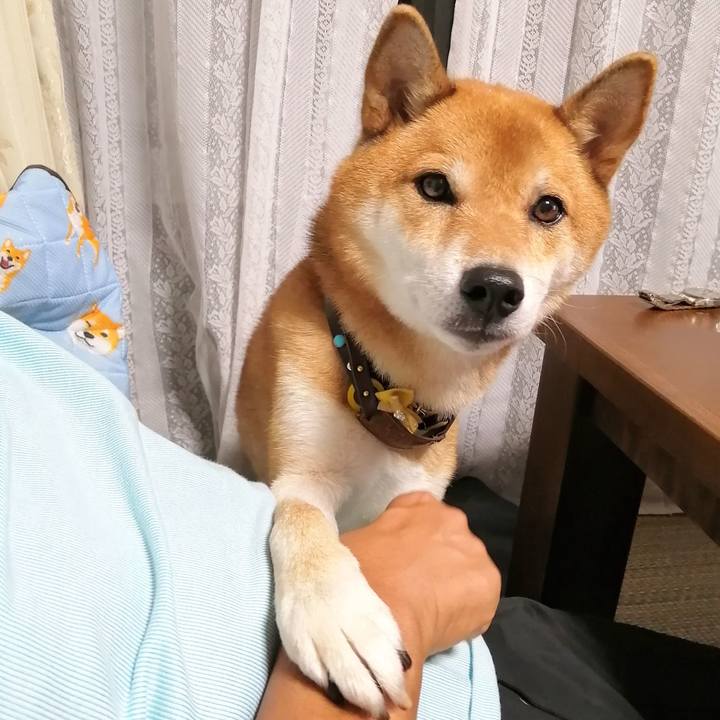 8792f3f6 22c3 42a4 a4db af5caa48e8dc 1601374879992