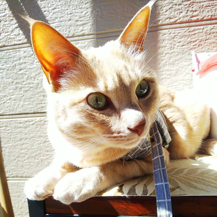 87933a21 f866 4c8c 8f52 80db3d06d0b1 1682998295596