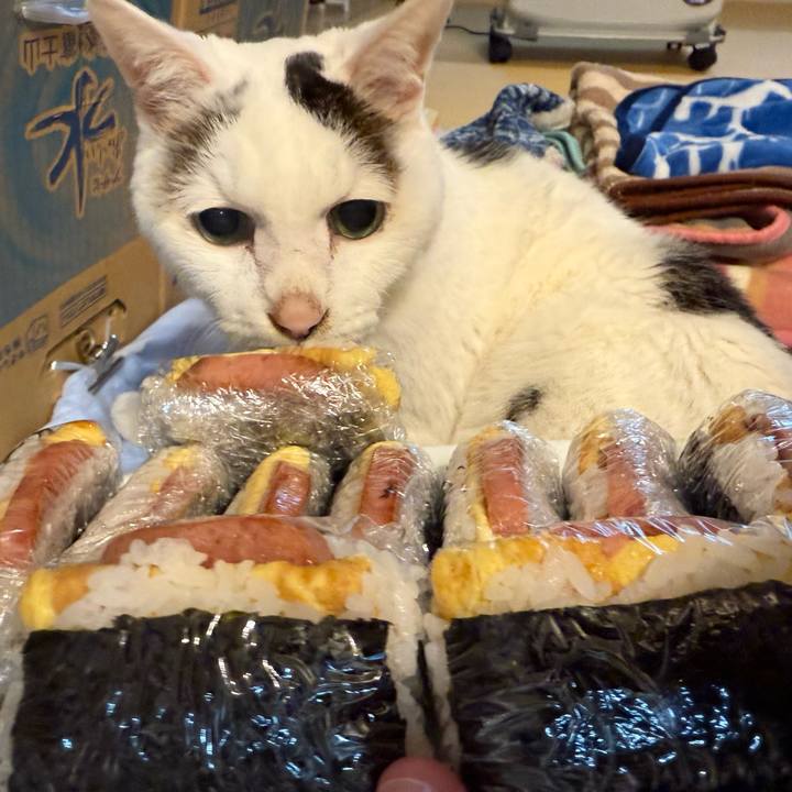 879369db d5c9 422f a7fc 5290cb8e6548 1766288328938