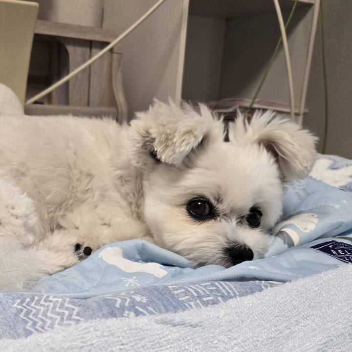 8793a3af 64f2 4e4e 8416 8aaceb5048ef 1758578143605