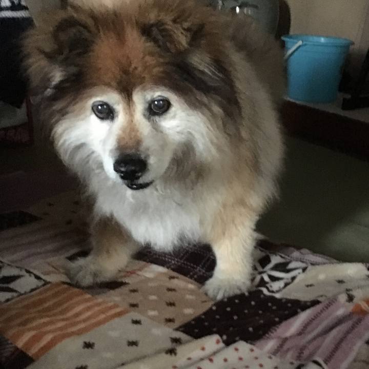 8793ebad 2150 4e11 8d6d 579517ade3a6 1592586646638