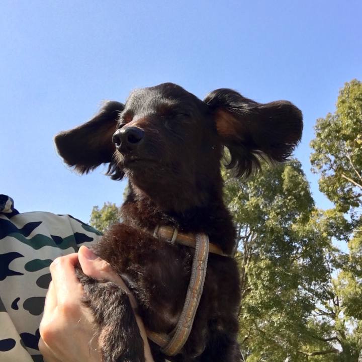 8793fb73 1000 4a96 9945 a75fde1bb68c 1549341089629