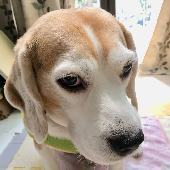 87940eb6 68ca 462c b181 8c6620862114 1554781887916