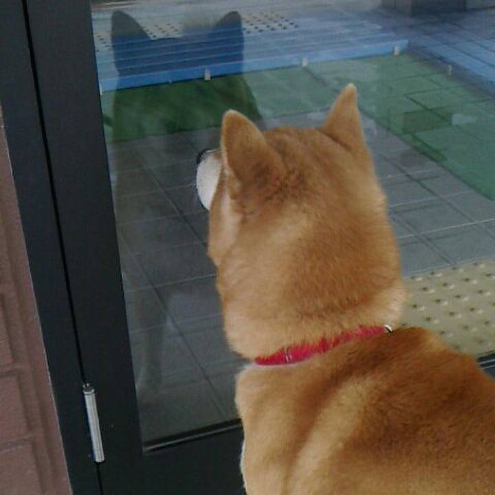 879421fb 3d62 4a81 b740 65330a9b95f9 1515387205564