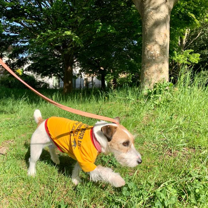 879425cd 70e2 4f06 9aef a5f5da3befb1 1619176221164