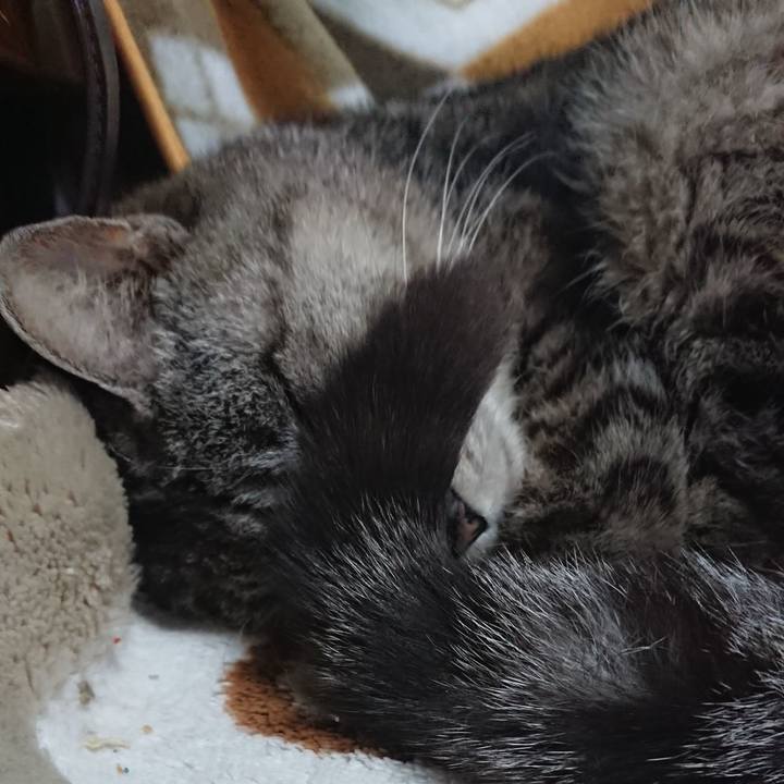 879439d8 036c 4ae0 9f53 6f4a9fa21f82 1551585686004