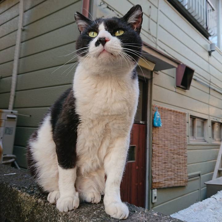 87949a82 7013 4cf0 a24c 0b1481dc1ea3 1526983137749