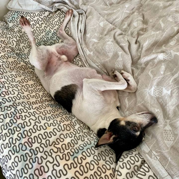 87949d48 fc36 45c6 ab80 7373723c839f 1589280589582