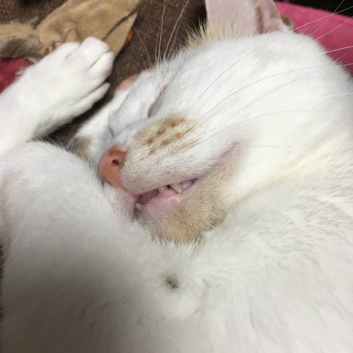 87949ee8 c9d7 424a bbd8 d9ceca9ef592 1562981669679