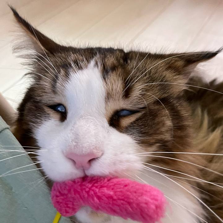 8794d0f2 e0ec 41bd aafa dbf582a23e05 1678486449364