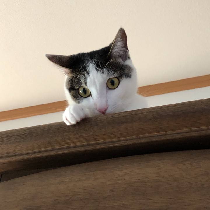 8794ee0d 3971 4945 ae90 3246c28b80ff 1598518896091