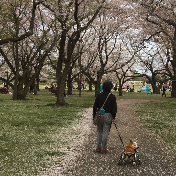 87952826 b2d0 4de4 a6c9 df85848b6214 1555230015495