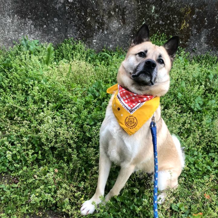 879586ec e436 48f3 a621 df42cdbaf011 1582806260574