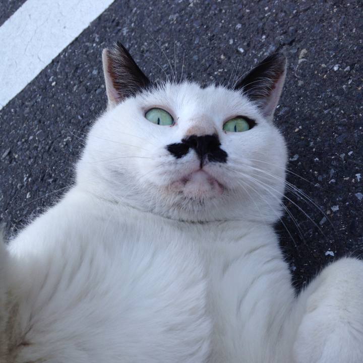 8795b389 f7c4 408c b231 f809fb462c44 1509354412756