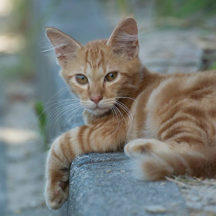 8795b9e6 0764 4f40 a274 0a1a2b54fa6f 1534115480785