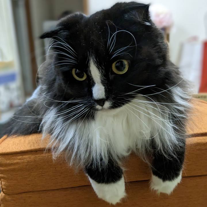 8795bce2 ecb1 4c55 b6c2 1cdcd2697bec 1677755215943