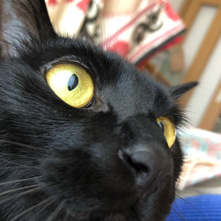 8795d6e3 18fd 4047 9ceb 41d597a8d4ca 1523232863854