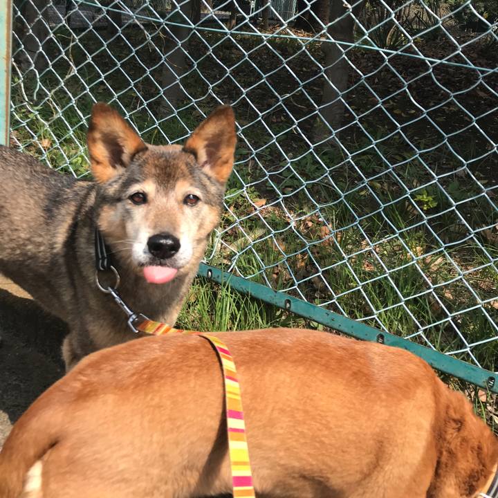 8795de83 49a5 458a 9b8a efc034e0a0e8 1554607951445