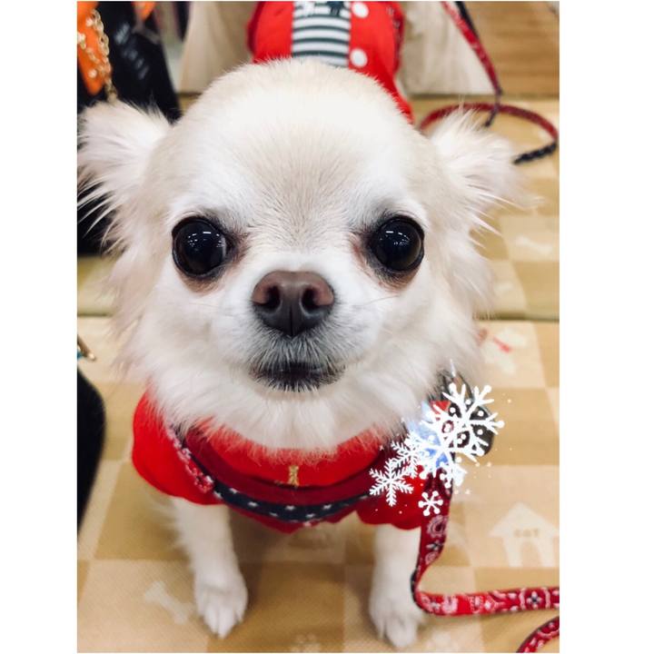 8795f67d 4523 4a6f 8bab 81922e84a7bd 1543278579837