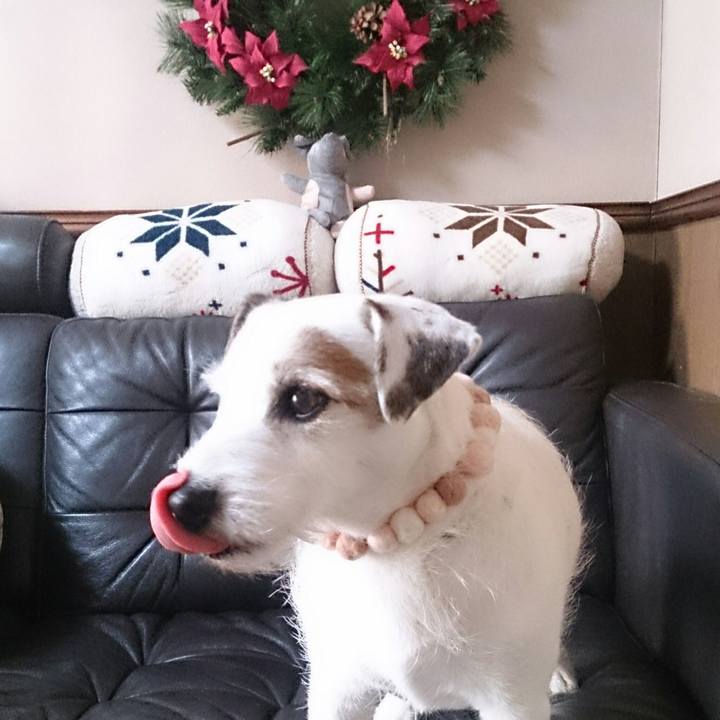 879626a8 0f9c 4b15 959f 75e4de1bd438 1513899587429